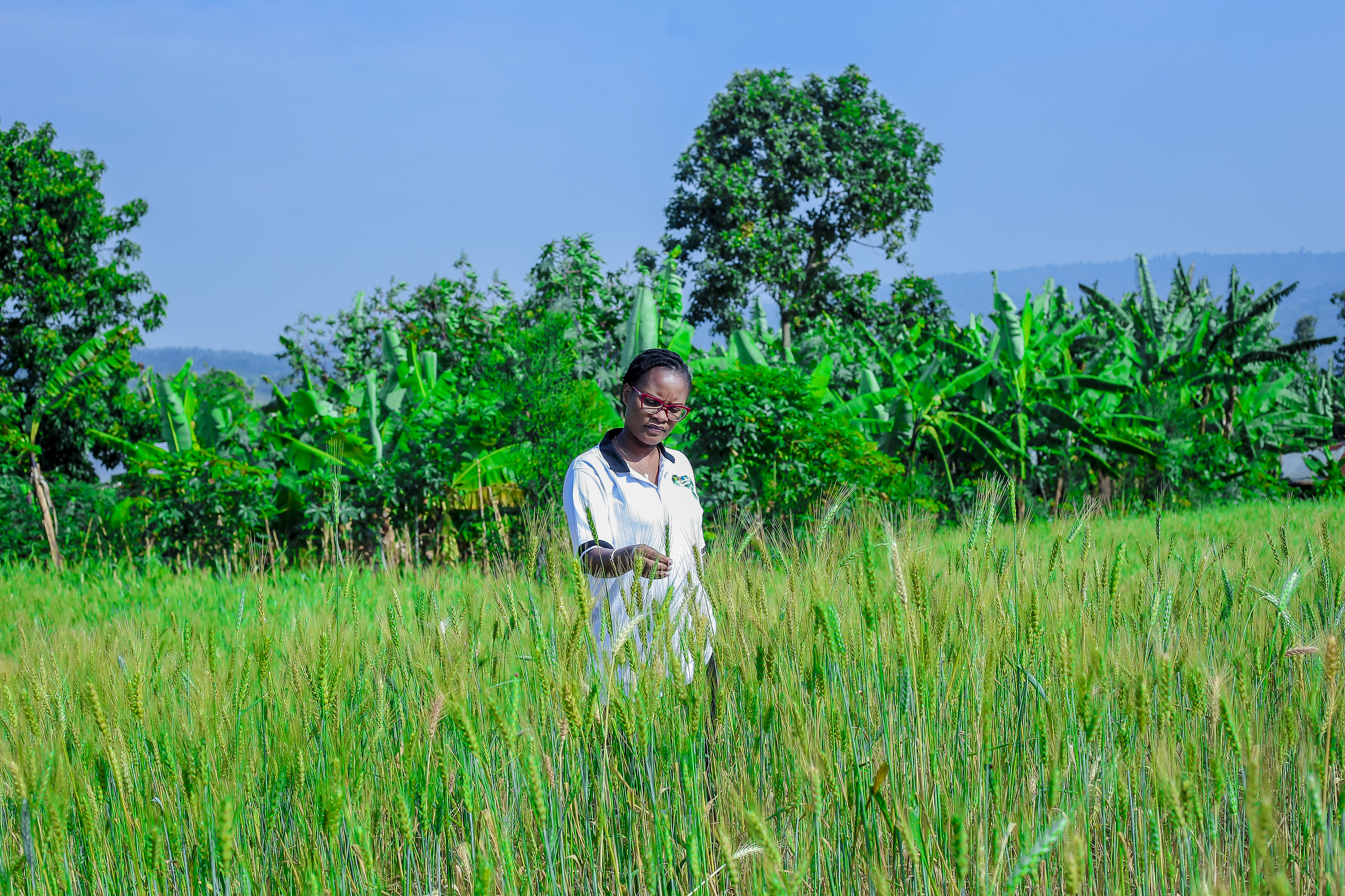 Le développement communautaire est ce pour quoi nous œuvrons